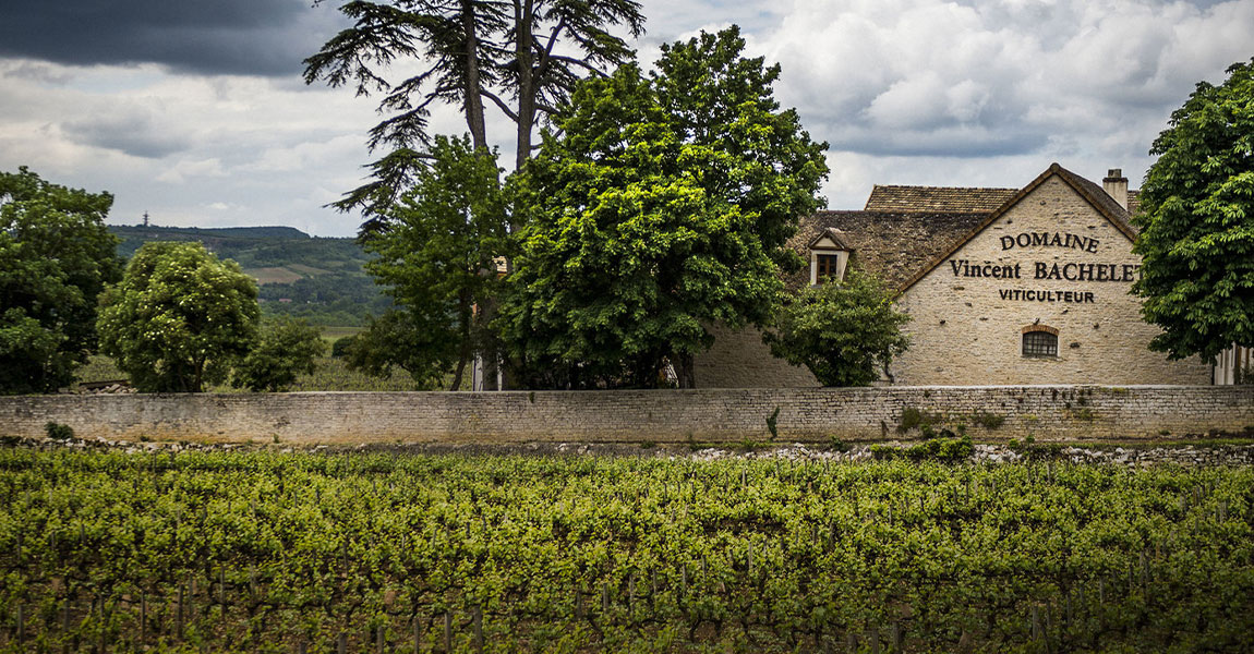 Domaine Bachelet