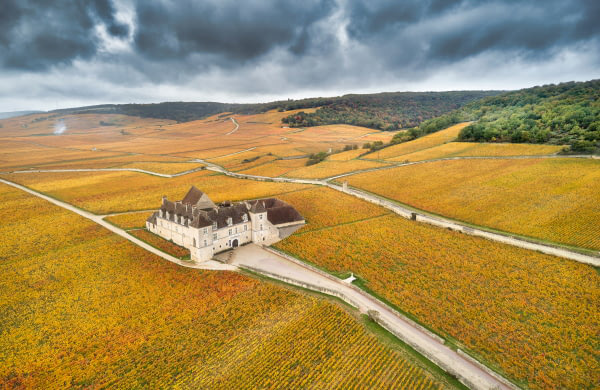 MAISON DROUHIN