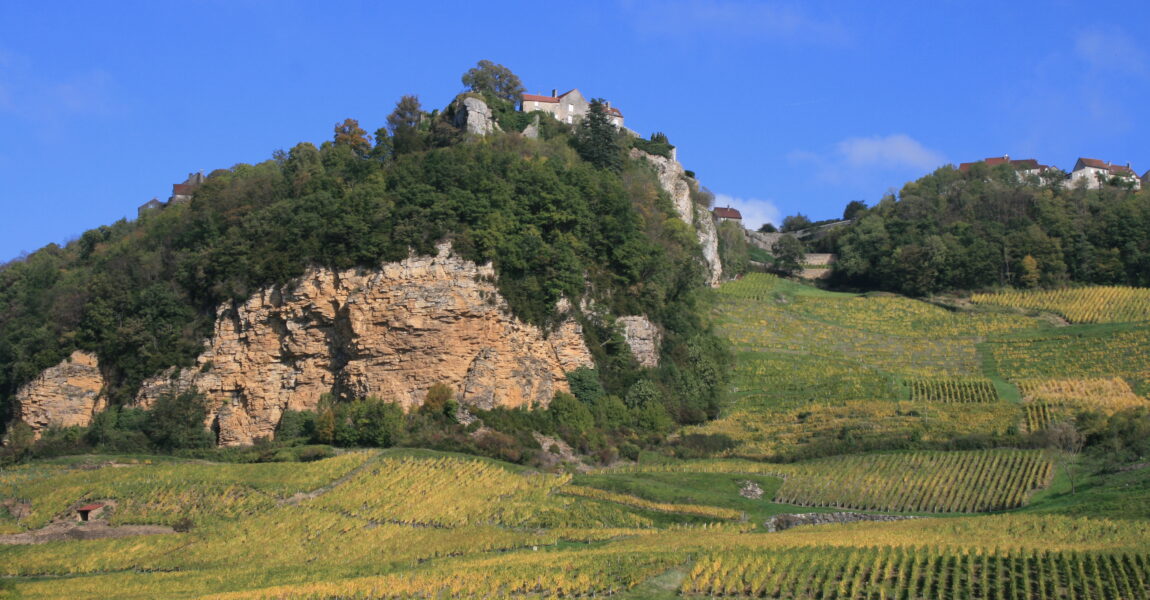 DOMAINE JEAN MACLE