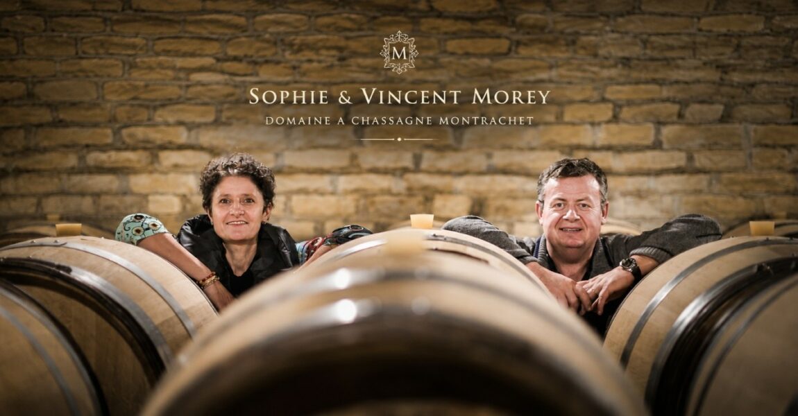 DOMAINE SOPHIE ET VINCENT MOREY