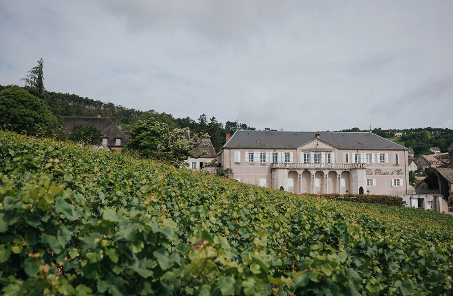 DOMAINE DE LA POUSSE D’OR