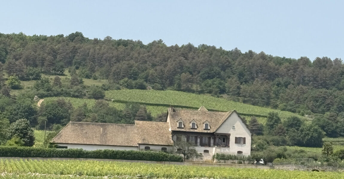 DOMAINE SOPHIE ET VINCENT MOREY